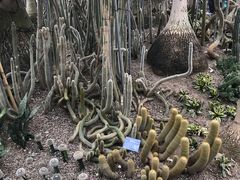 -南山植物园