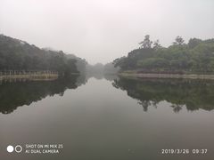 -雀儿山公园