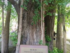 -潭柘寺景区