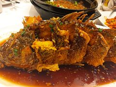 老济南糖醋鲤鱼-金春禧(万象天成店)