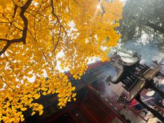 -红螺寺