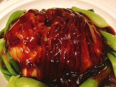 -上海金桥红枫万豪酒店-万豪中餐厅