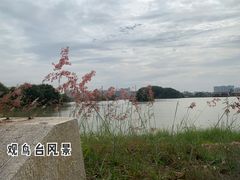 -海上田园