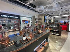 -维也纳国际机场