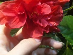 -徐鼎盛民间菜(上筑店)