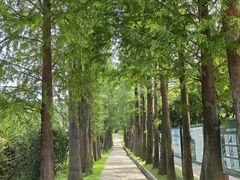 -叱石风景区