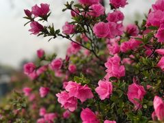 -白塘生态植物园