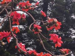 -荔枝公园(福田区)