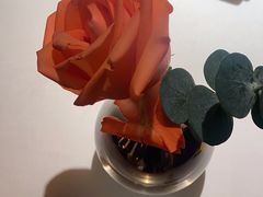 -佐度王子扒房(爱建卓展店)