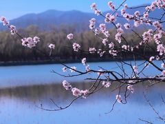-颐和园