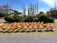 -上海长兴岛郊野公园