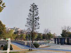 -葛仙湖公园