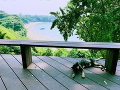 -网红落日悬崖餐厅 The Sky Gallery