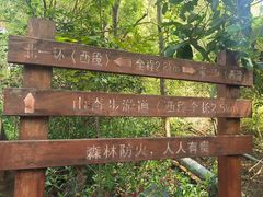 -仙岳公园