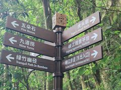 -铁山坪森林公园