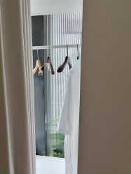 -BELLAREAL新美社
