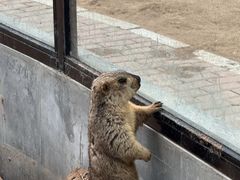 -鄂尔多斯野生动物园