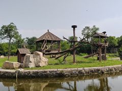 -石家庄市动物园