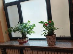 -胖老汉新疆特色椒麻鸡(南门店)