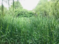 -西安市长乐公园