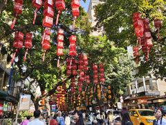 -越秀西湖花市(广州城市广场花卉店)