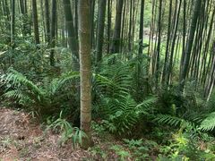 -千泷沟大瀑布旅游区