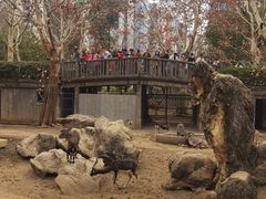 -成都动物园