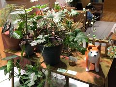 -柴务处·柴犬主题狗咖