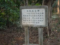 -长洲岛