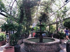 -The Grounds of Alexandria