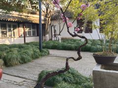 -常熟方塔园