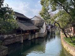 -鲁镇