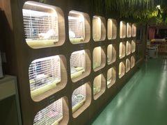 -藦茜花园宠物主题亲子互动体验馆(国顺东路店)