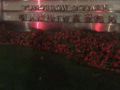 -上海明天广场JW万豪酒店