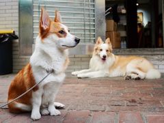 -豆舞咖啡(民乐路店)