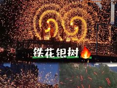 -海合安武汉极地海洋公园