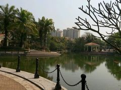 -纵横国际影城杜比全景声巨幕(天安云谷店)