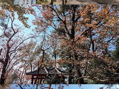 -广州市石门国家森林公园
