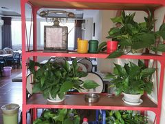 -段氏龙虾·烧烤·烤鱼(东书房路店)
