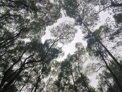 -华溪森林公园-售票处
