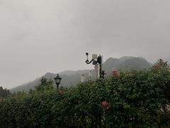 -四川省成都市彭州市白鹿镇