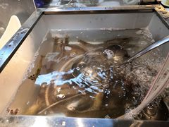 -天骄国际酒店·布拉格西餐厅(白石湖店)