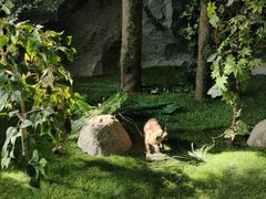 -吉林省自然博物馆