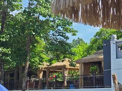 -桃源山庄·水蜜桃采摘·柴火鸡·烧烤团建(龙泉山店)