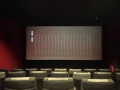 -新影联·华谊兄弟影院(望京店)