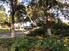 -昆山城市生态森林公园