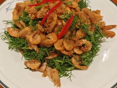 -百年家风·老馆子(东风店)
