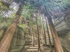 -梭布垭石林景区