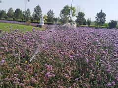 -敦煌莫高国际机场