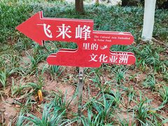 -灵隐飞来峰景区